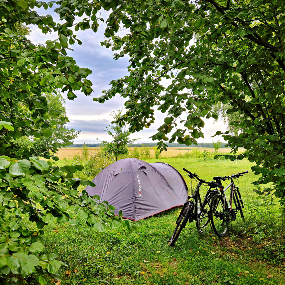 Morning in the tent with the view of the fields