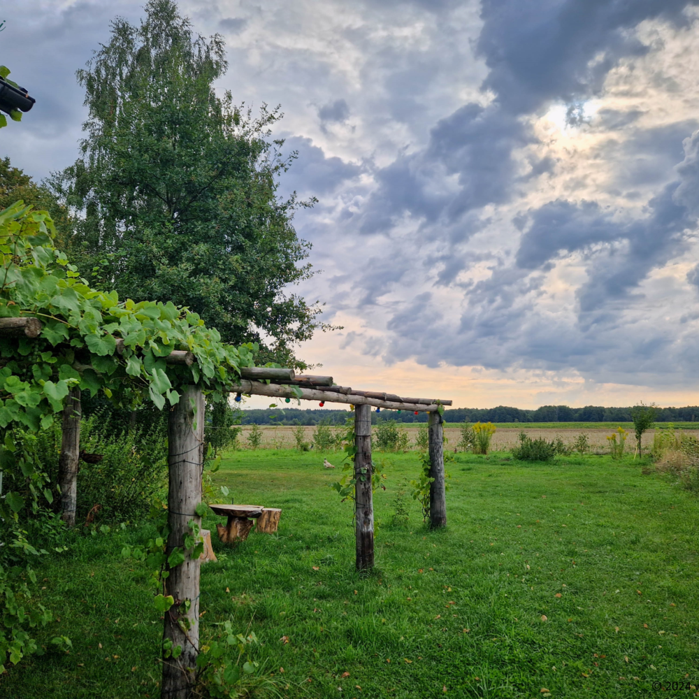 Cloudy morning at the pergola