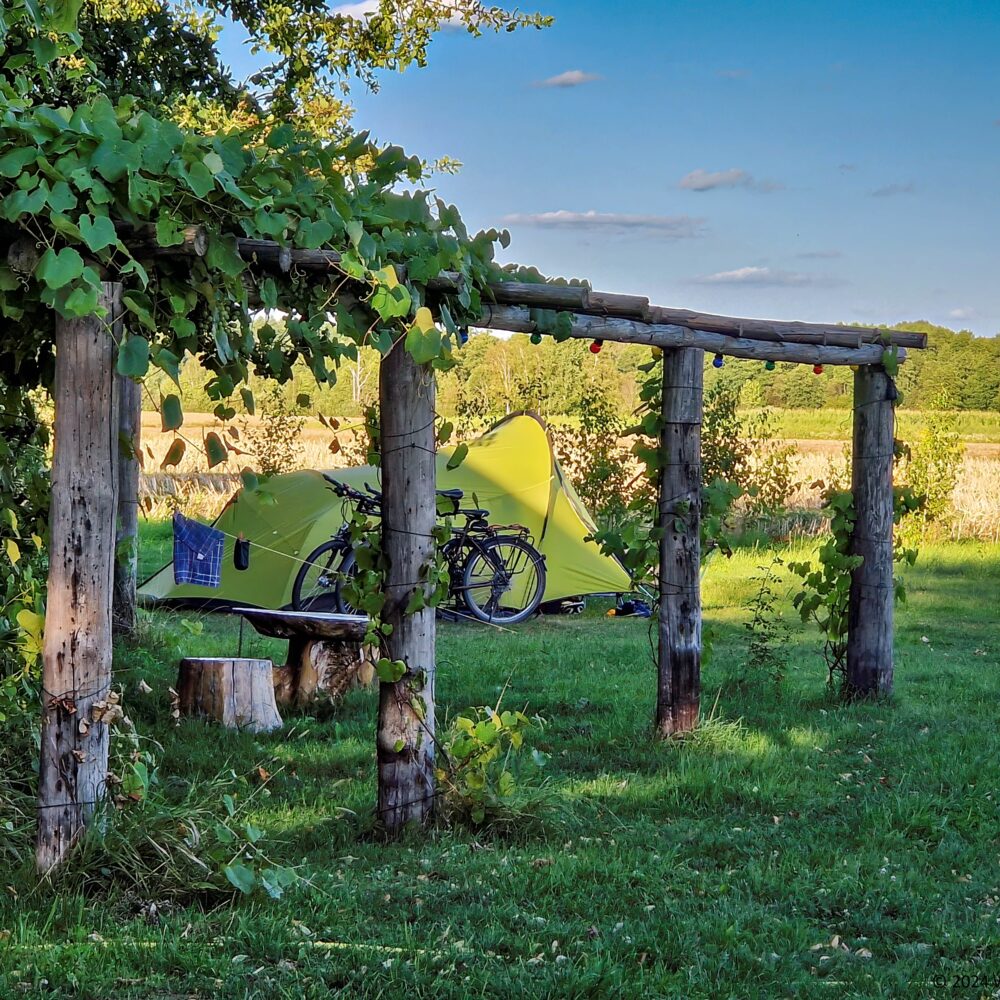 Tent next to pergola Tent next to pergola