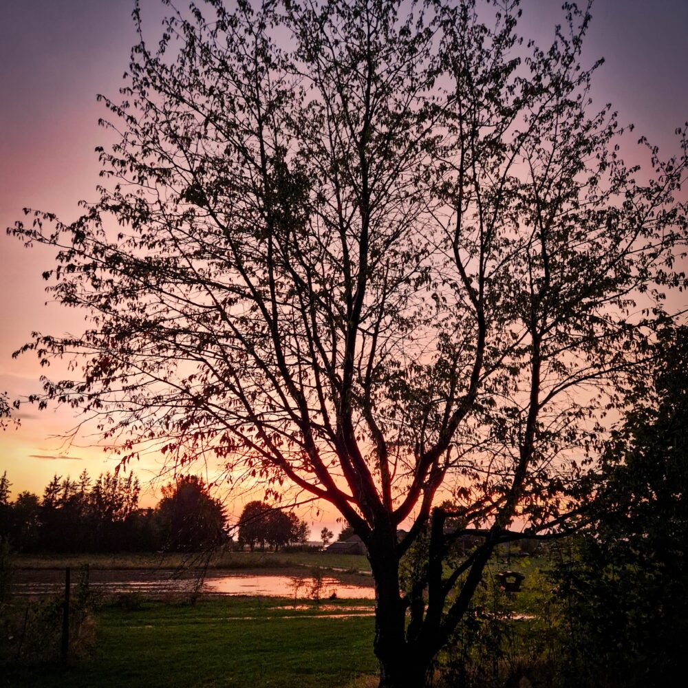 What a sunset after a very heavy storm What a sunset after a very heavy storm