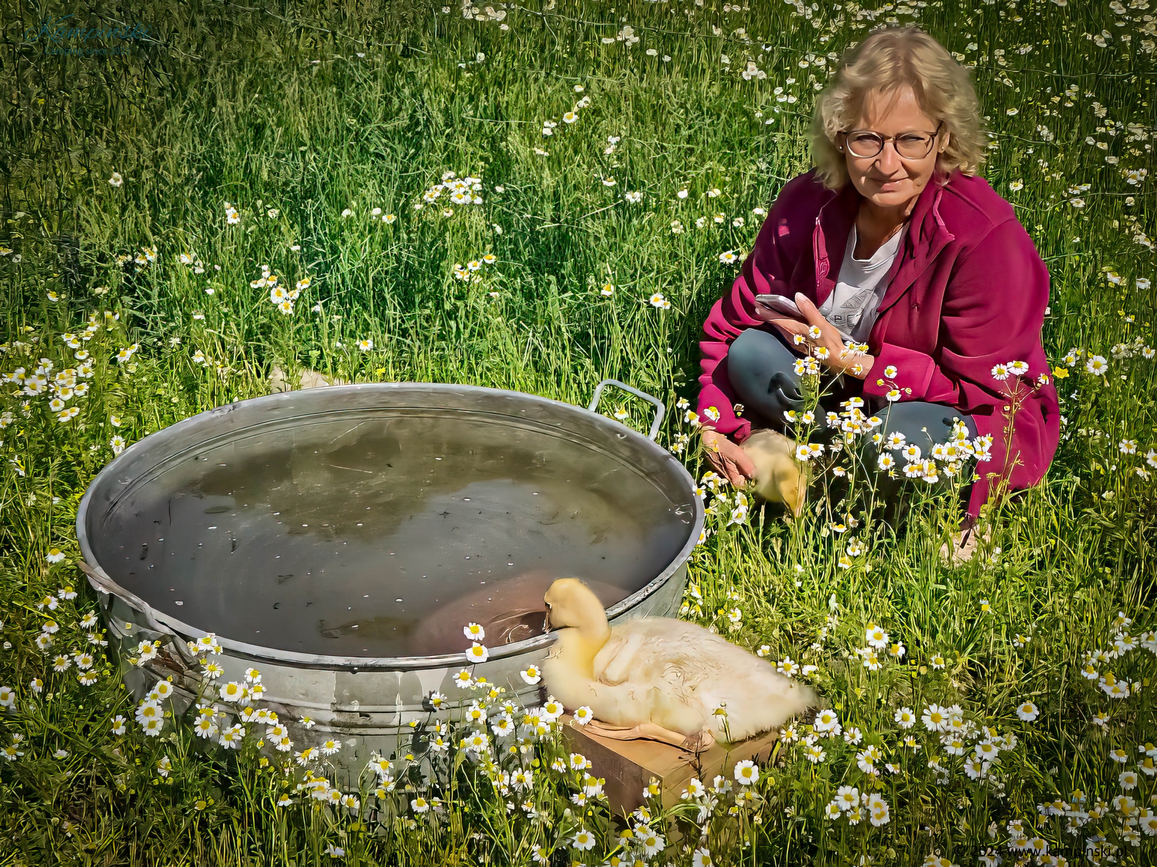 Anna with little Geese