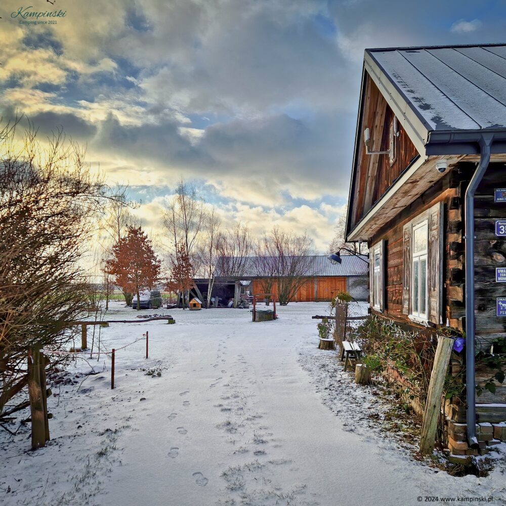 Into the winter yard Into the winter yard