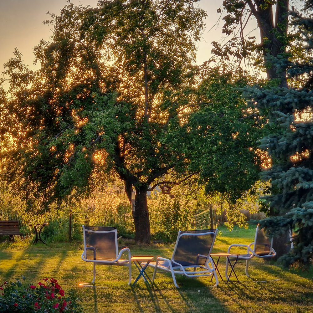 Colourful Sunset Colourful Sunset