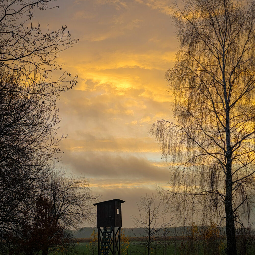 Early Winter Sunrise Early Winter Sunrise