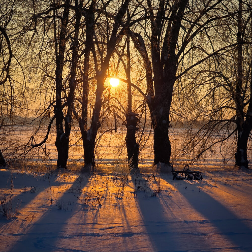 Winter Sunrise at Kampinski Winter Sunrise at Kampinski