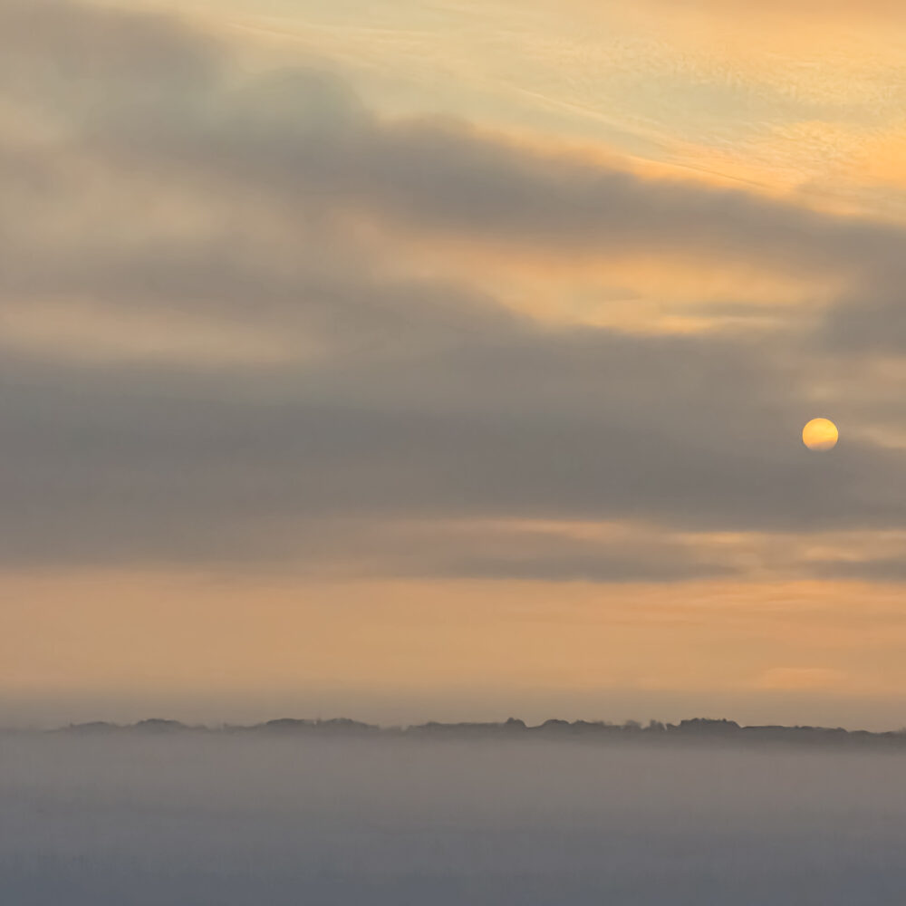 Winter Morning with Mist Winter Morning with Mist