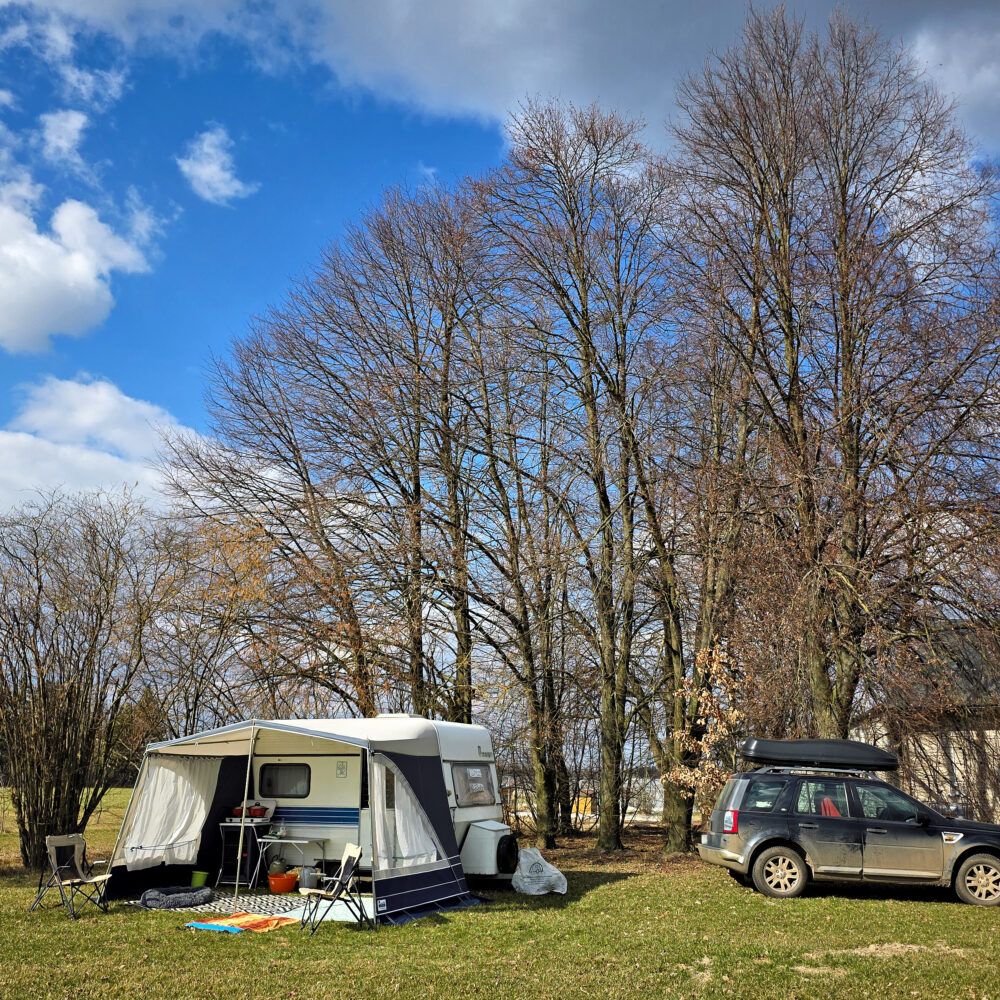 First Guest in Spring