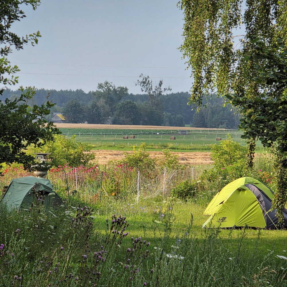 Tents and Fields